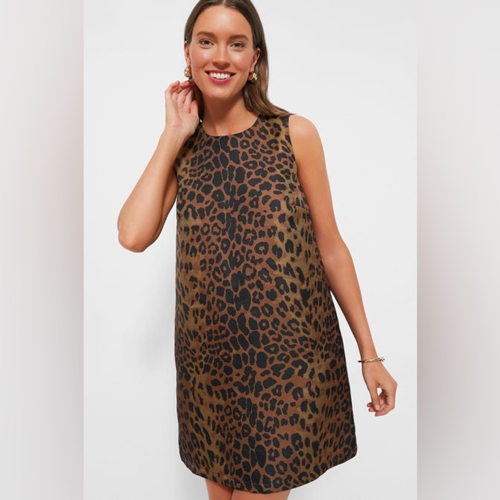 Tuckernuck Leopard Print Mini Dress - Brown and Black